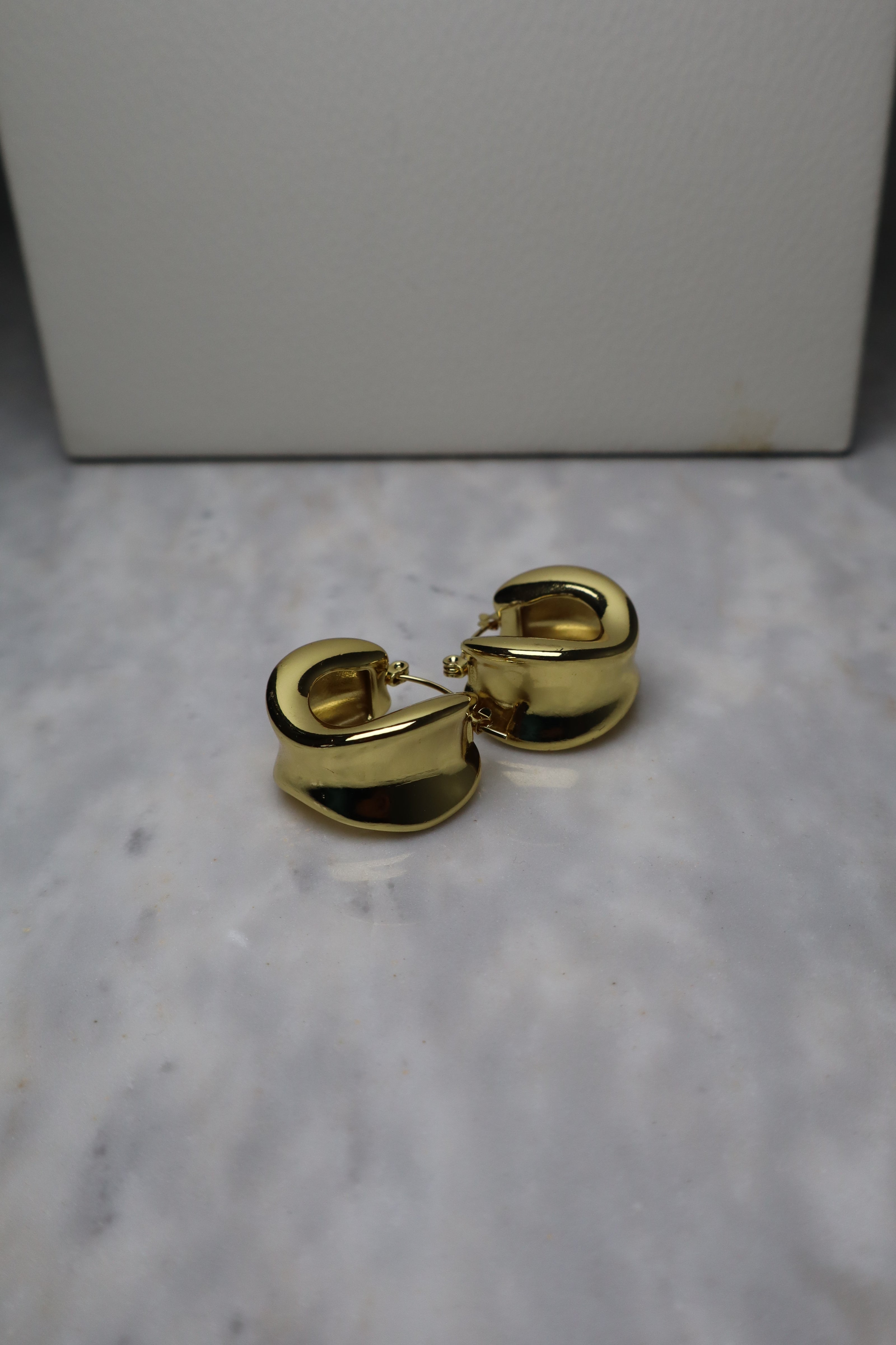 STAINLESS STEEL SMALL EARRINGS